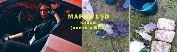 дживик Нефтекумск
