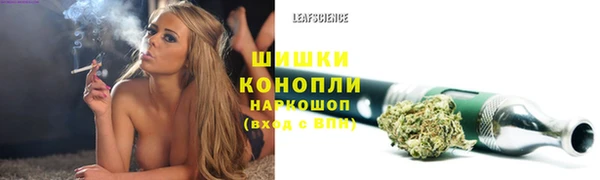 сатива Нефтегорск