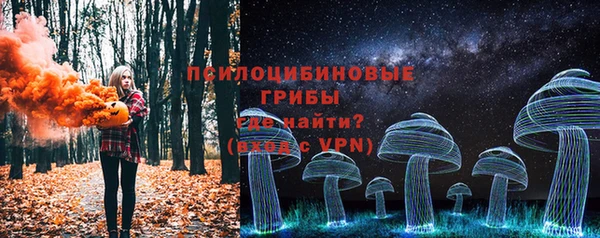 дживик Нефтекумск