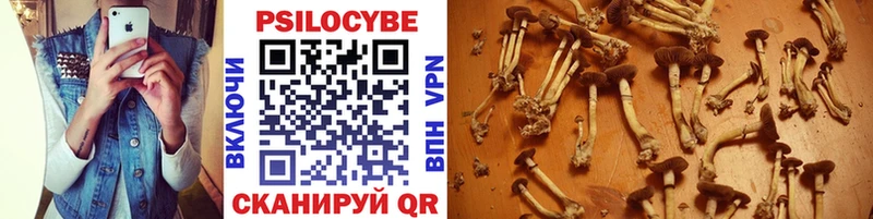 Галлюциногенные грибы мухоморы Рыльск