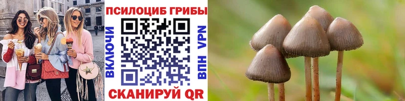 darknet наркотические препараты  Рыльск  Галлюциногенные грибы мухоморы 